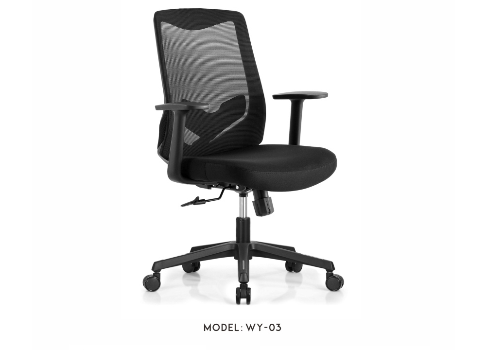 WY-03 B.jpg